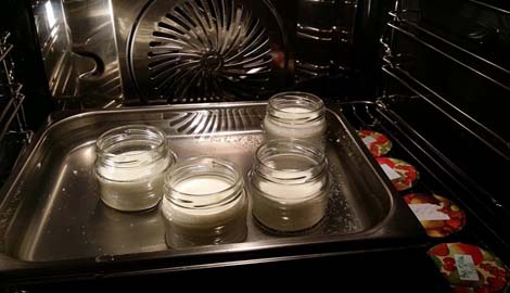 Joghurt Bild